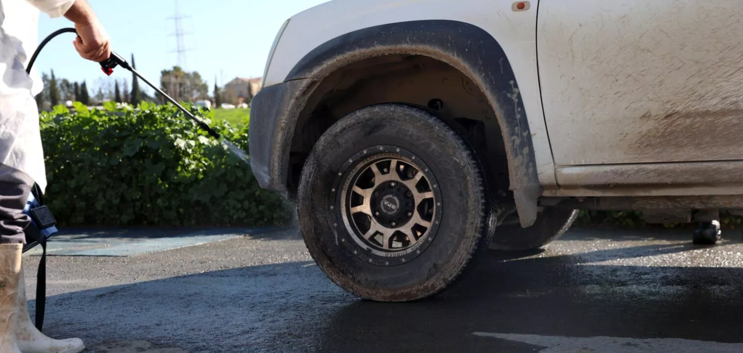 Συναγερμός για τον αφθώδη πυρετό - Οδηγίες για άμεσα μέτρα στις κτηνοτροφικές περιοχές