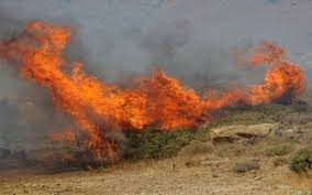 ΛΕΜΕΣΟΣ: Μάχη με τις φλόγες δίνουν οι πυροσβέστες- Πυρκαγιά σε δύσβαστη περιοχη