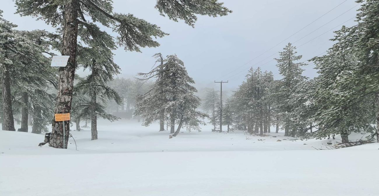 «Ντύθηκε» στα λευκά το Τρόοδος: Μαγικές εικόνες από το ανοιξιάτικο χιόνι - Δείτε βίντεο