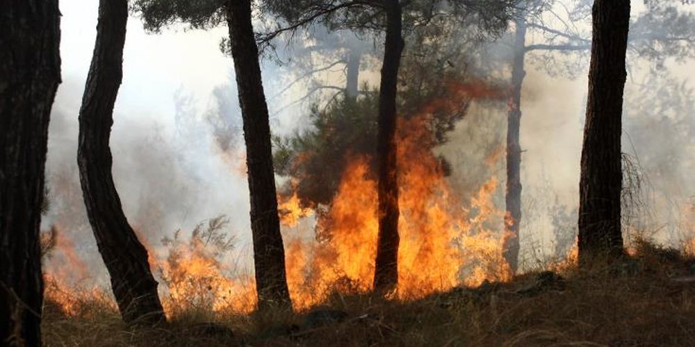 ΠΑΦΟΣ: Υπό έλεγχο η φωτιά που ξέσπασε στην Κρήτου Μαρόττου