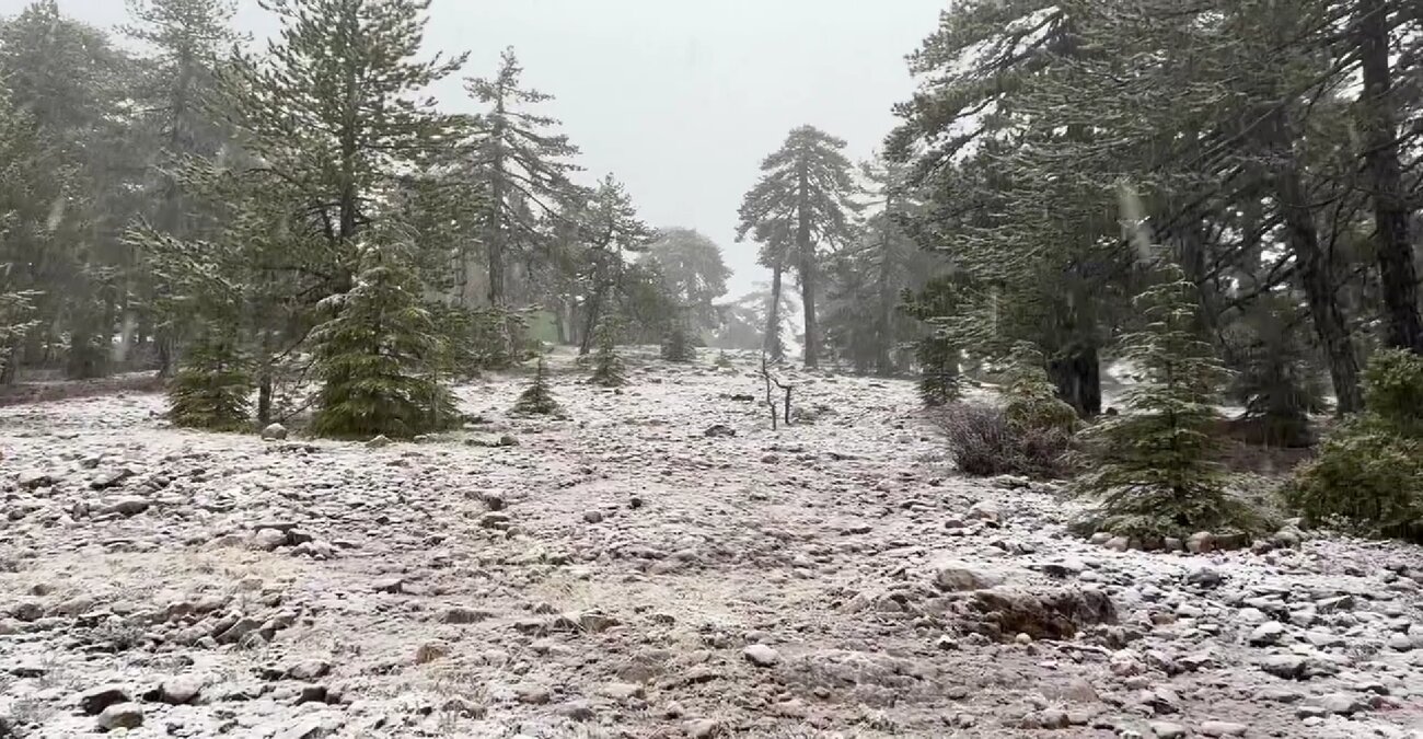 Μαγικές εικόνες: «Ντύνεται» στα λευκά το Τρόοδος - Δείτε βίντεο από την χιονόπτωση