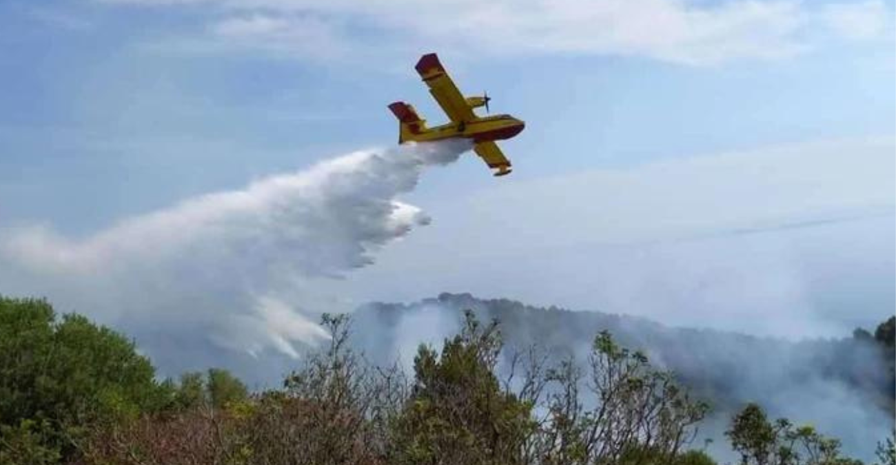 Γλίτωσαν τα χειρότερα στο Κρατικό Δάσος «Πυκνής» - Συνέδραμαν 4 πτητικά στην κατάσβεση πυρκαγιάς