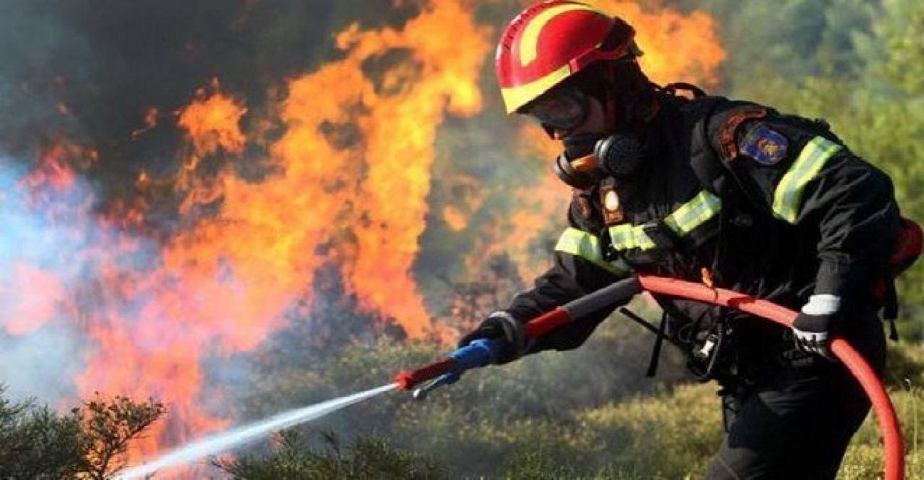 Τμήμα Δασών: Σε επίπεδο «Κόκκινου Συναγερμού» ο κίνδυνος δασικών πυρκαγιών και τη Δευτέρα