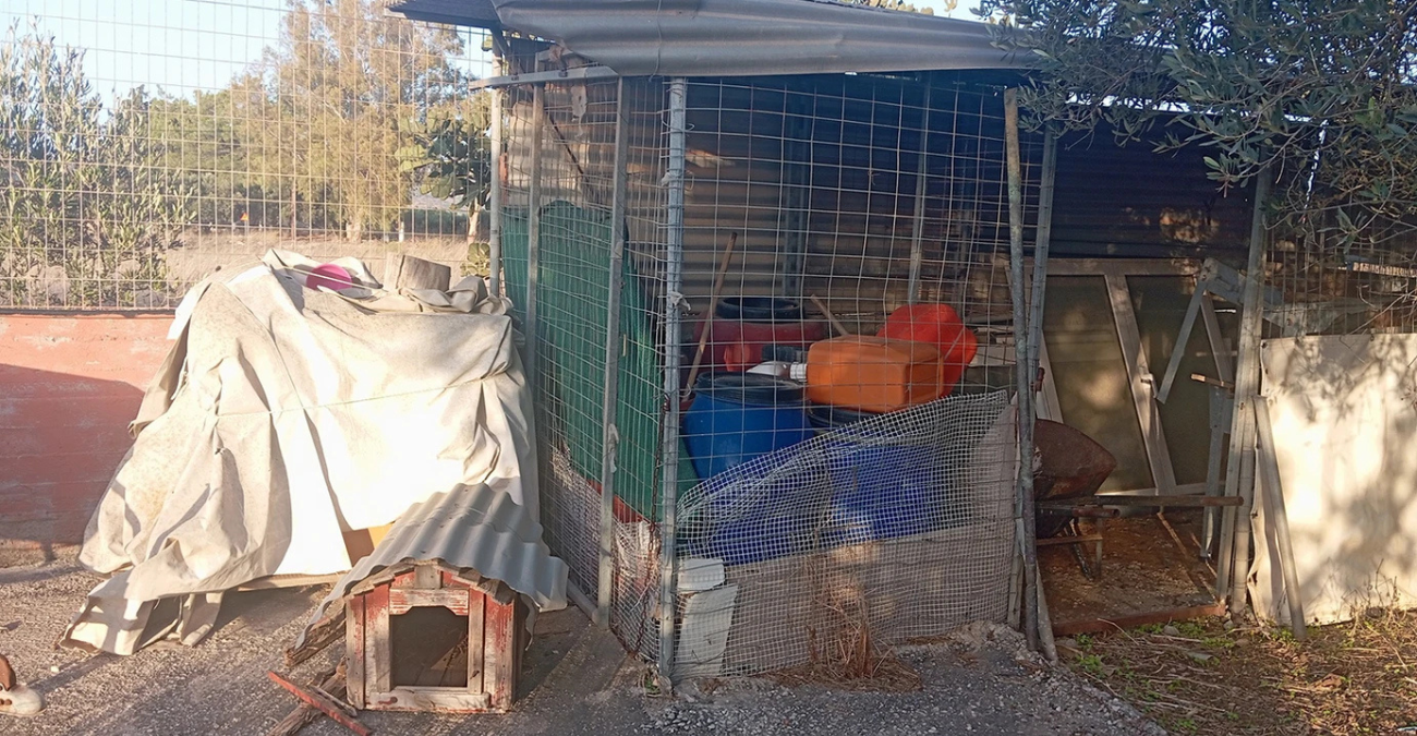 «Απαγορεύονται οι πεθερές»: Η αγγελία-τρολάρισμα για σπίτι στα Χανιά που σατιρίζει τις παράλογες απαιτήσεις των ιδιοκτητών