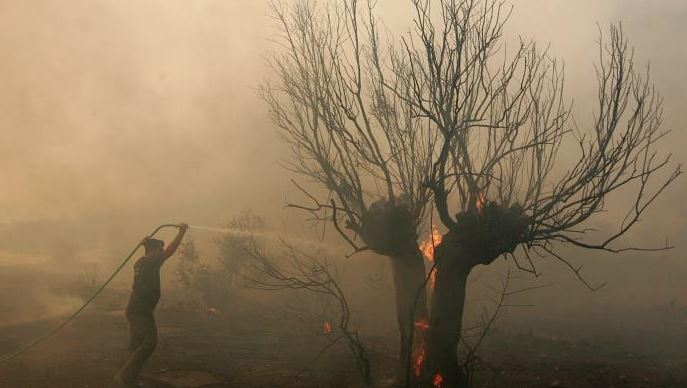 Υπό πλήρη έλεγχο δασική πυρκαγιά στην Μαλούντα, παραμένουν δυνάμεις πυρόσβεσης για τυχόν αναζωπυρώσεις