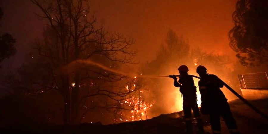 Ξέσπασε πυρκαγιά αργά χθες το βράδυ - Πρόλαβε τα χειρότερα το Τμήμα Δασών στη Δρούσεια