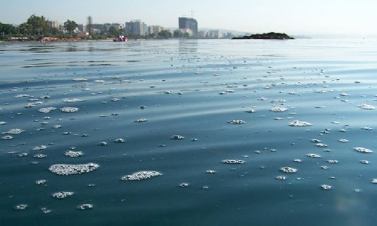 ΛΕΜΕΣΟΣ: Πλήρωσε ακριβά την ρύπανση στην θάλασσα 