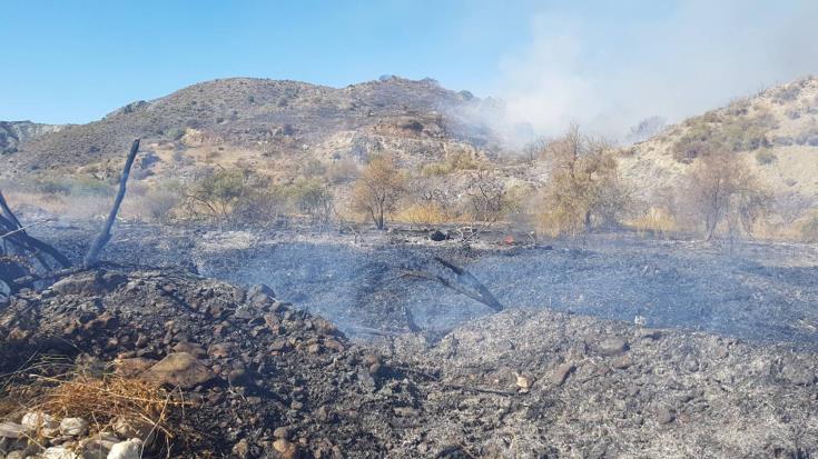 Υπό έλεγχο δασική πυρκαγιά μεταξύ των Κοινοτήτων Αναλιόντα - Καμπιών