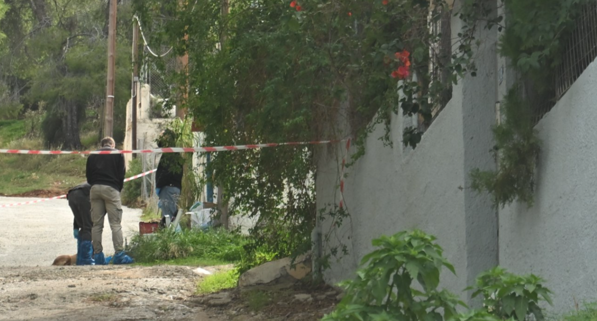 Σαλαμίνα: Τα «μοιραία» λάθη της 46χρονης που σκότωσε την πεθερά της