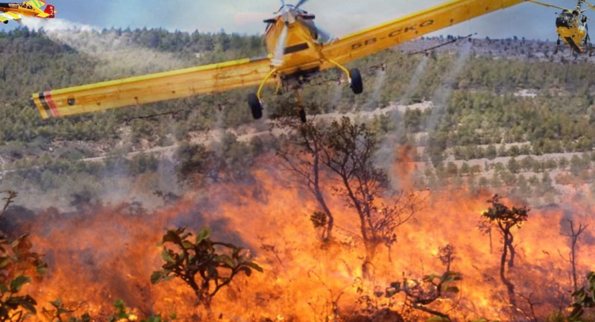 Παραμένει ο «κόκκινος συναγερμός» για δασικές πυρκαγιές - Η ενημέρωση του Τμήματος Δασών 