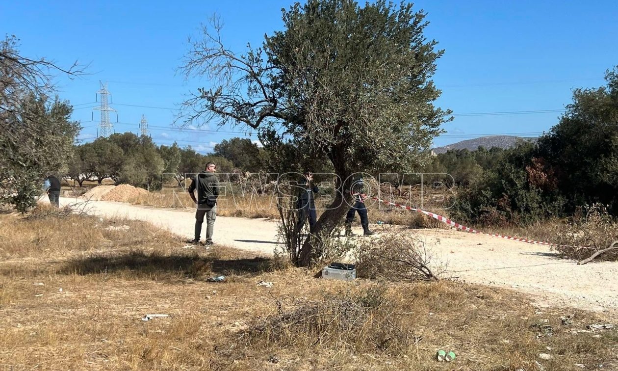 Μαρκόπουλο: «Είδα να πυροβολούν την οικογένεια μου – Υπάρχει βεντέτα με τους συμπέθερους»