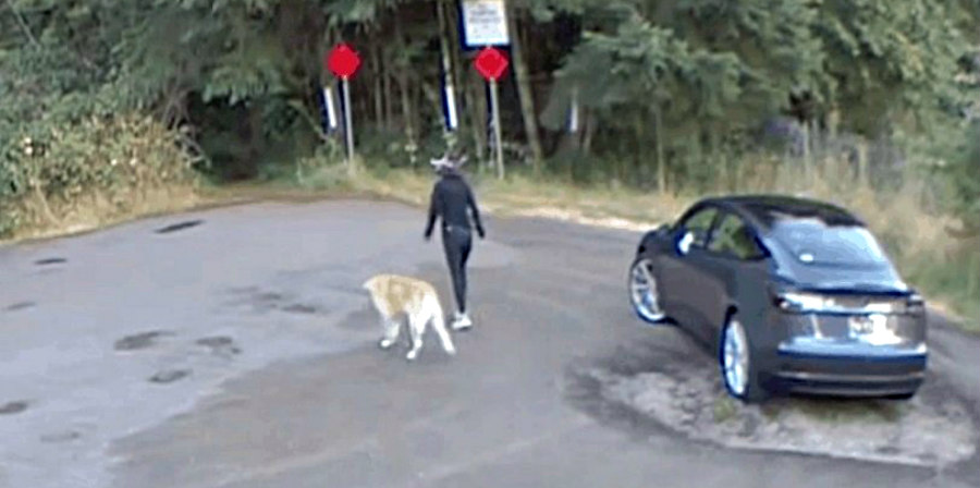 Προτίμησε το αυτοκίνητο από το σκύλο της – Τον εγκατέλειψε και έφυγε – VIDEO 