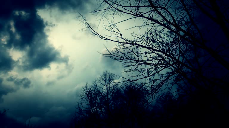 Πρόγνωση καιρού: «Θα μας πάρουν και θα μας σηκώσουν» οι ισχυροί άνεμοι - Πότε και σε ποιες περιοχές αναμένονται βροχές