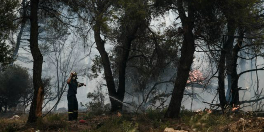 Φωτιά στην Αττική: Οι φλόγες μπήκαν στο Κρυονέρι – Καίγονται σπίτια