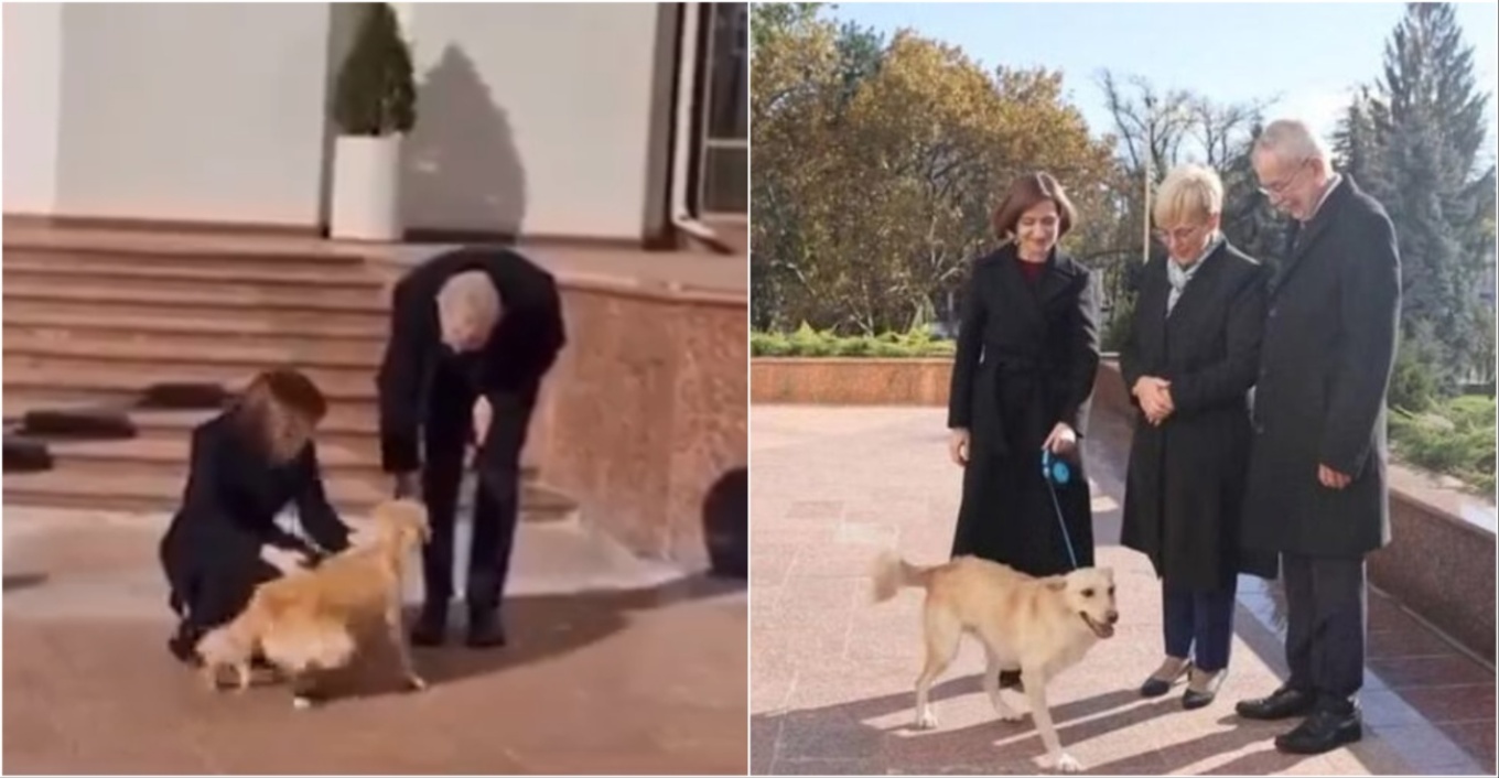 Μολδαβία: Ο σκύλος της Μάγια Σάντου δάγκωσε στο χέρι τον πρόεδρο της Αυστρίας - Δείτε βίντεο