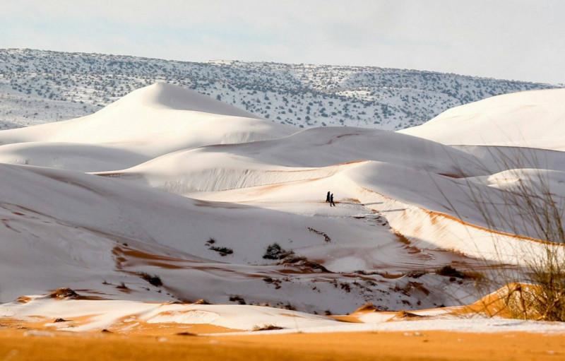 Χιόνισε στην έρημο Σαχάρα – Στα λευκά οι Σαουδάραβες και... οι καμήλες! ΦΩΤΟΓΡΑΦΙΕΣ