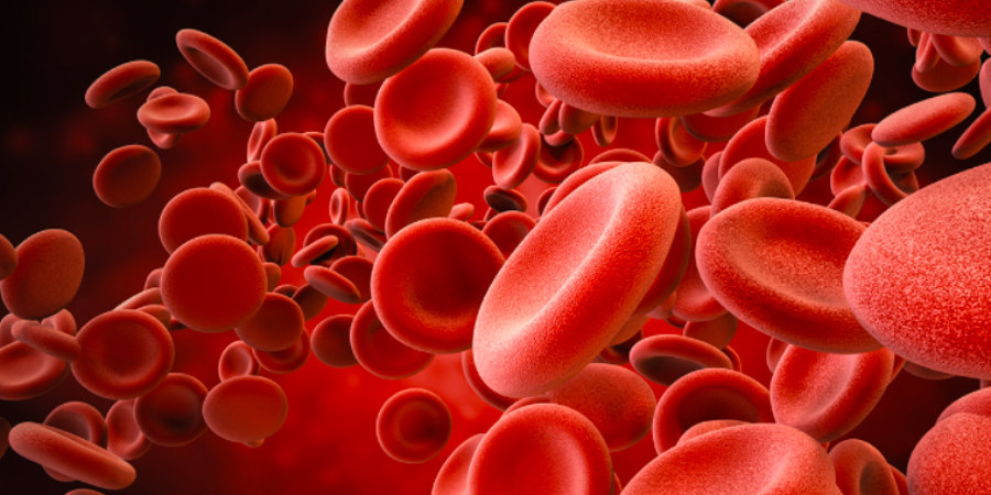 Αιμοπετάλια: Οι παθήσεις που απειλούν τα μικρότερα κύτταρα του αίματος