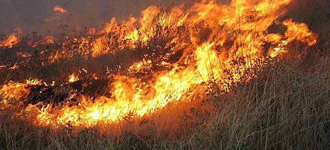 ΠΑΦΟΣ: Μαίνεται πυρκαγιά στην Κρήτου Τέρρα – Στη μάχη και εναέρια μέσα
