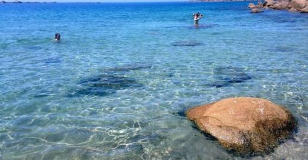 Απίστευτο και όμως αληθινό: Χιλιάδες πόδια από κοτόπουλα και γαλοπούλες ξεβράστηκαν σε παραλία της Ελλάδας - Φωτογραφίες