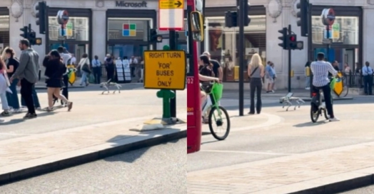 Άφωνοι οι κάτοικοι του Λονδίνου με ένα «περίεργο» πλάσμα που εντοπίστηκε σε κεντρικό δρόμο - Δείτε βίντεο