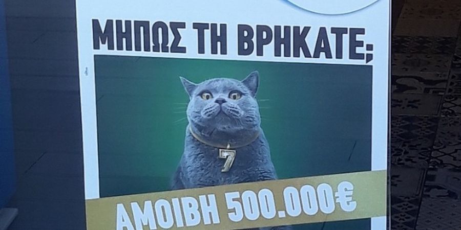 Χαμός στην Ελλάδα για μια «γάτα» - Μισό εκατομμύριο η «αμοιβή» της