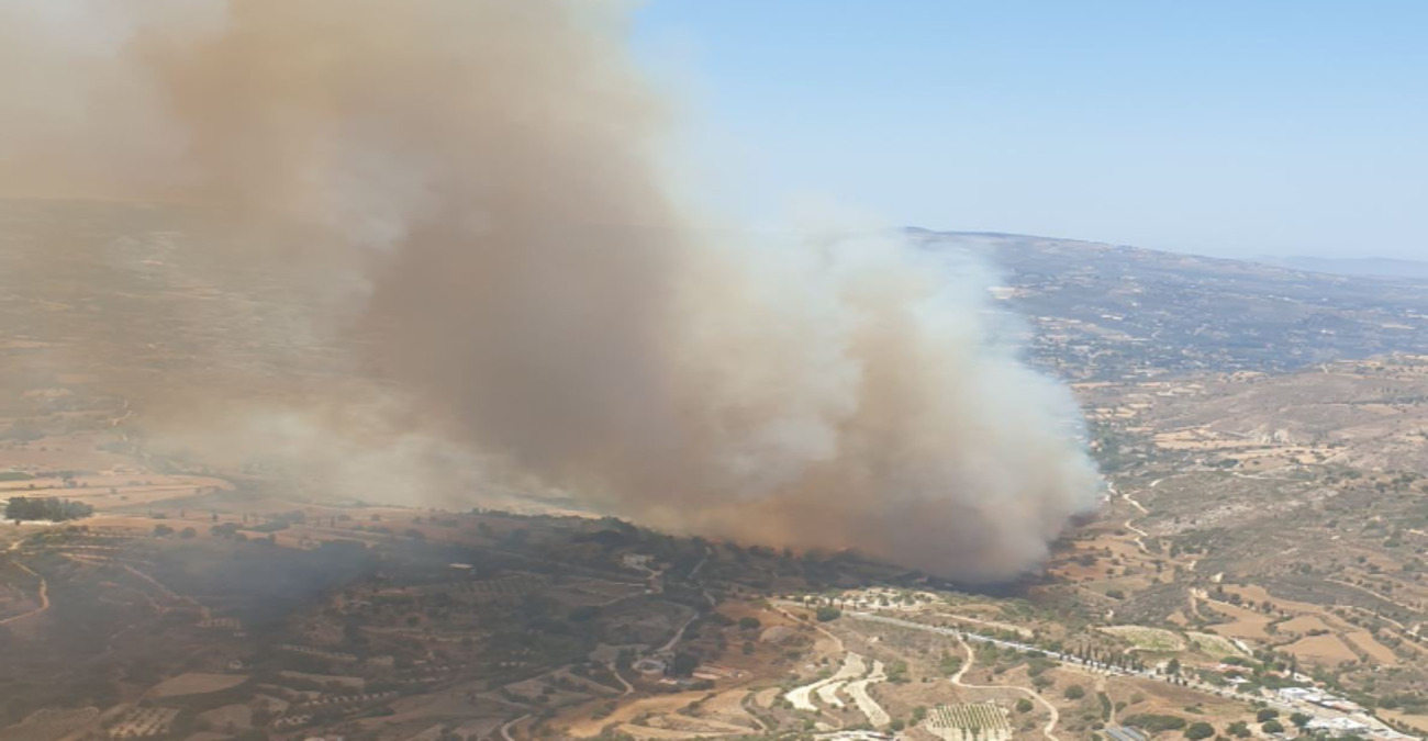 «Καμένη γη»: Πέραν των 3000 δεκαρίων γεωργικής γης επηρεάστηκαν από πυρκαγιές στην Πάφο - Χάθηκαν και ζώα 