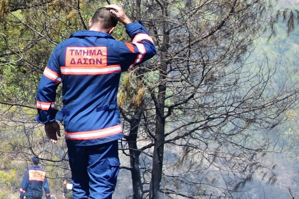 Συναγερμός στις αρχές: Ξέσπασε πυρκαγιά κατά μήκος του δρόμου στην Επαρχία Λευκωσίας