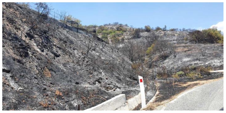 ΠΑΦΟΣ: Υπό μερικό έλεγχο η φωτιά μεταξύ των χωριών Στρουμπί και Τσάδας
