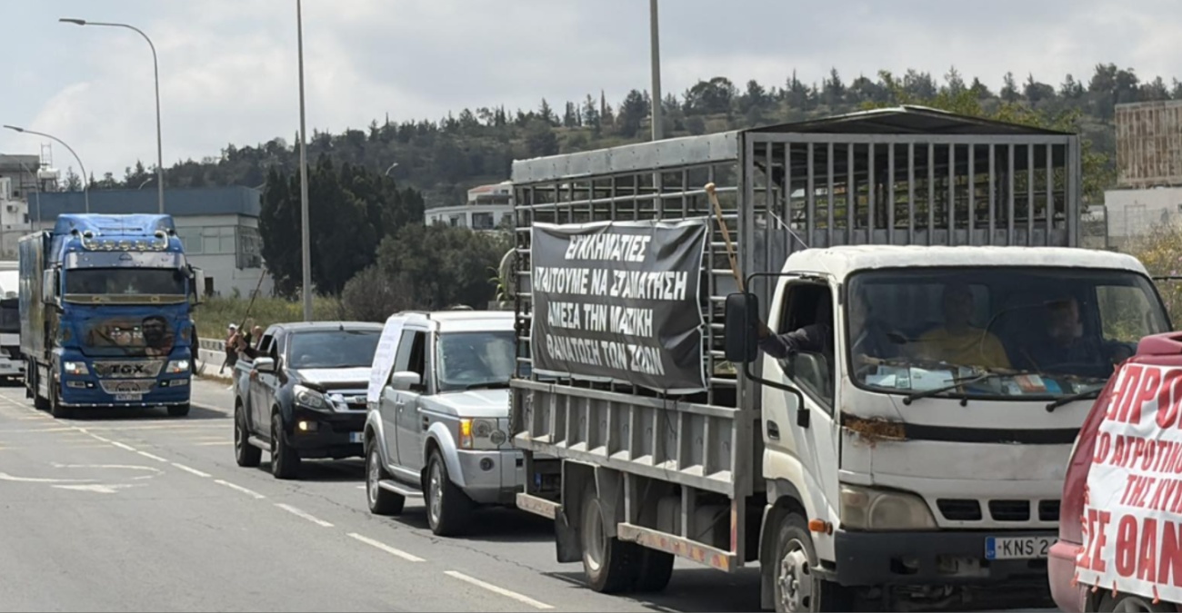Αφθώδης πυρετός: Κλείνει ο κύκλος των θανατώσεων, ανοίγει η μάχη των εμβολίων