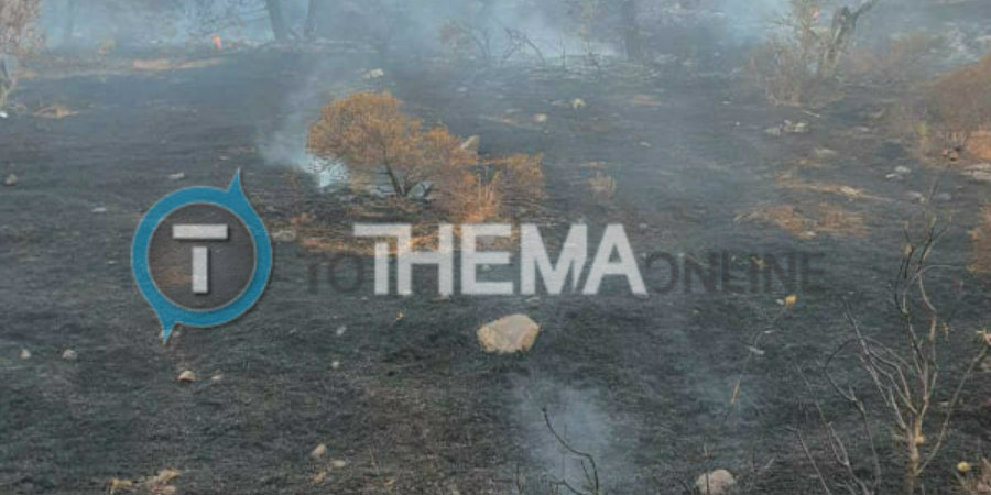 Ανθρώπινο χέρι πίσω από τη μεγάλη πυρκαγιά - Θλιβερές εικόνες από την καμένη γη – Κάηκε και μέρος οικίας– ΦΩΤΟΓΡΦΙΕΣ 