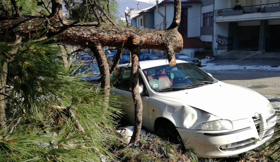 ΛΕΜΕΣΟΣ - ΠΑΦΟΣ: Έπεσαν δέντρα πάνω σε οχήματα από την κακοκαιρία– Ξεχείλισε και οχετός  