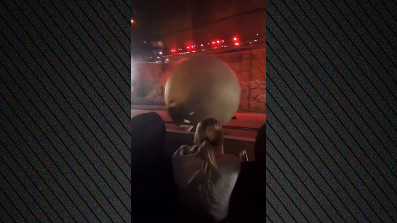 BINTEO: Εργαζόμενος της Disney τραυματίστηκε από τεράστιο ψεύτικο βράχο κατά τη διάρκεια παράστασης