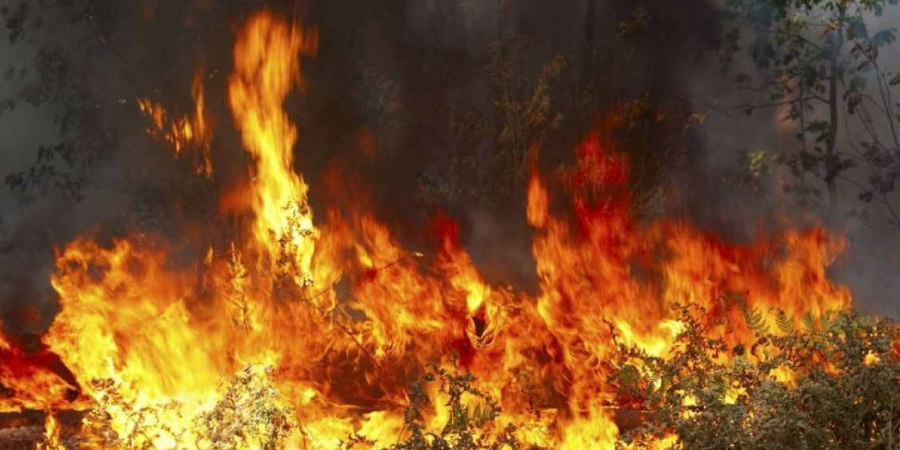 Υπό πλήρη έλεγχο δασική πυρκαγιά σε περιοχή της κοινότητας Φύλαγρα - Άμεση η επέμβαση της Πυροσβεστικής 