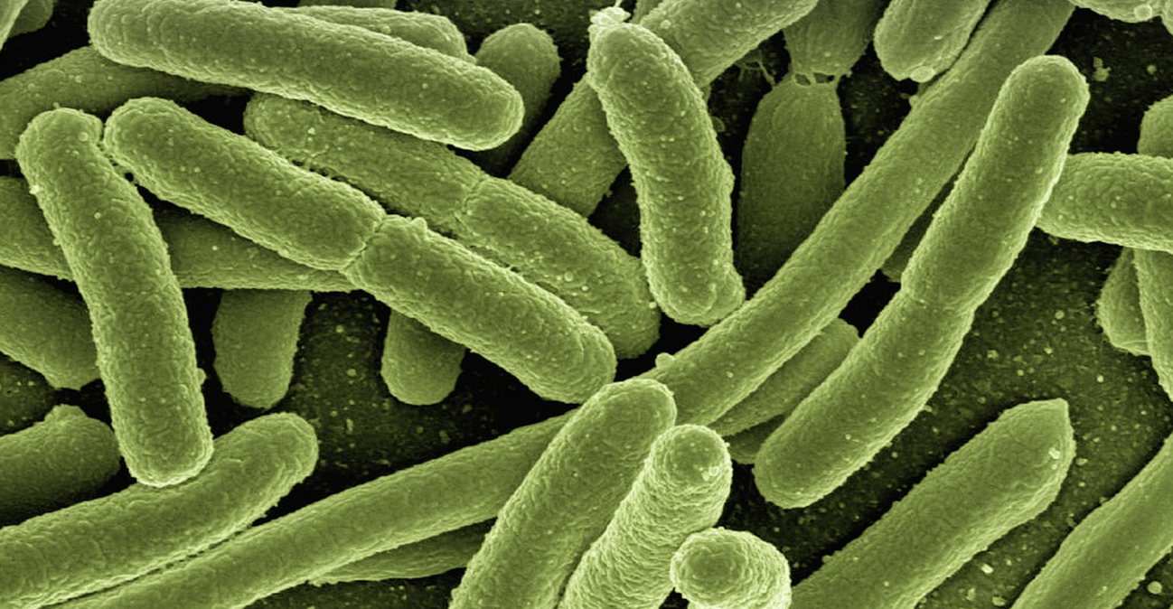 Συναγερμός από βακτήρια που «τρώνε τη σάρκα» στις ΗΠΑ - Τουλάχιστον τρεις θάνατοι