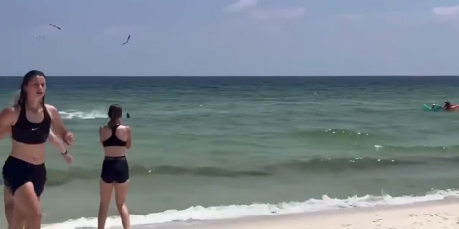 «Βγείτε έξω» - Πανικός σε παραλία στη Φλόριντα – Καρχαρίας βγήκε στα ρηχά - Δείτε βίντεο