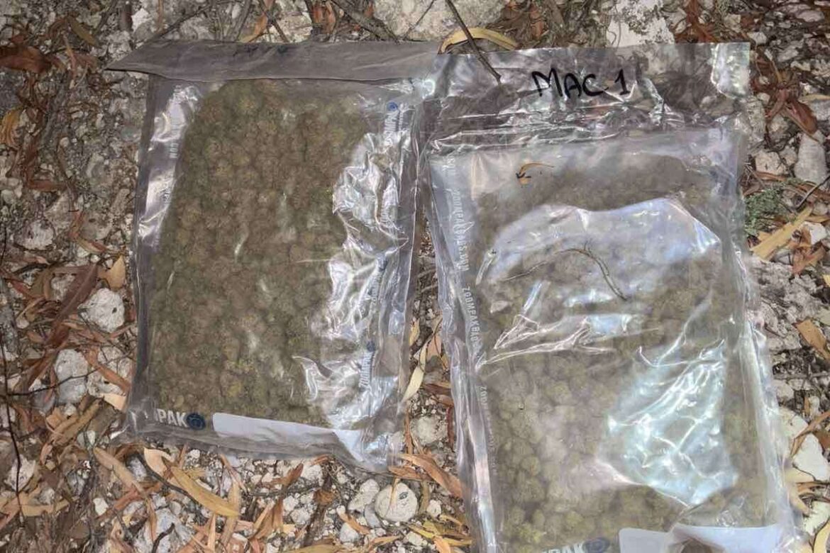 Νέες ποσότητες ναρκωτικών: Εντοπίστηκαν δύο κιλά κοκαΐνης και 9 κιλά κάνναβης στη Λεμεσό - Δείτε φωτογραφίες
