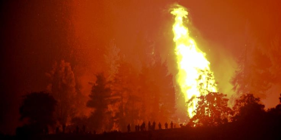 ΕΛΛΑΔΑ: Σε εξέλιξη φωτιά στην περιοχή Δρυάλια Λακωνίας, δεν απειλούνται κατοικημένες περιοχές