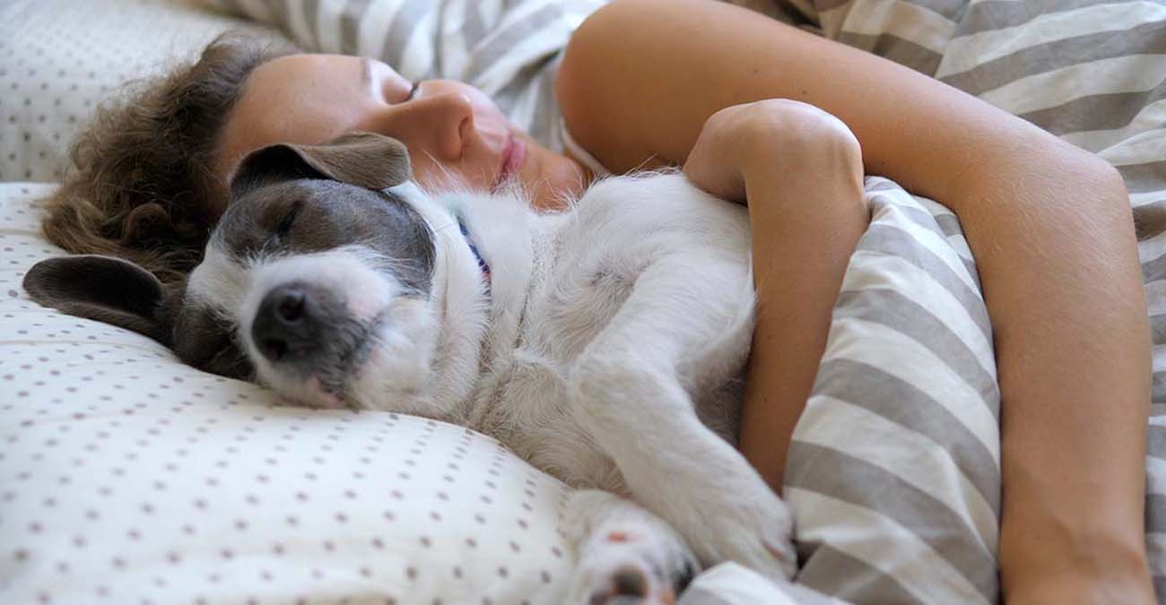 Πόσα κερδίζουν και πόσα χάνουν όσοι κοιμούνται αγκαλιά με τον σκύλο τους 