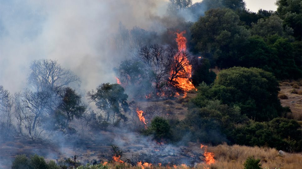 ΛΕΜΕΣΟΣ – ΠΥΡΚΑΓΙΑ: Υπό πλήρη έλεγχο η φωτιά – Φοβούνται τους ανέμους