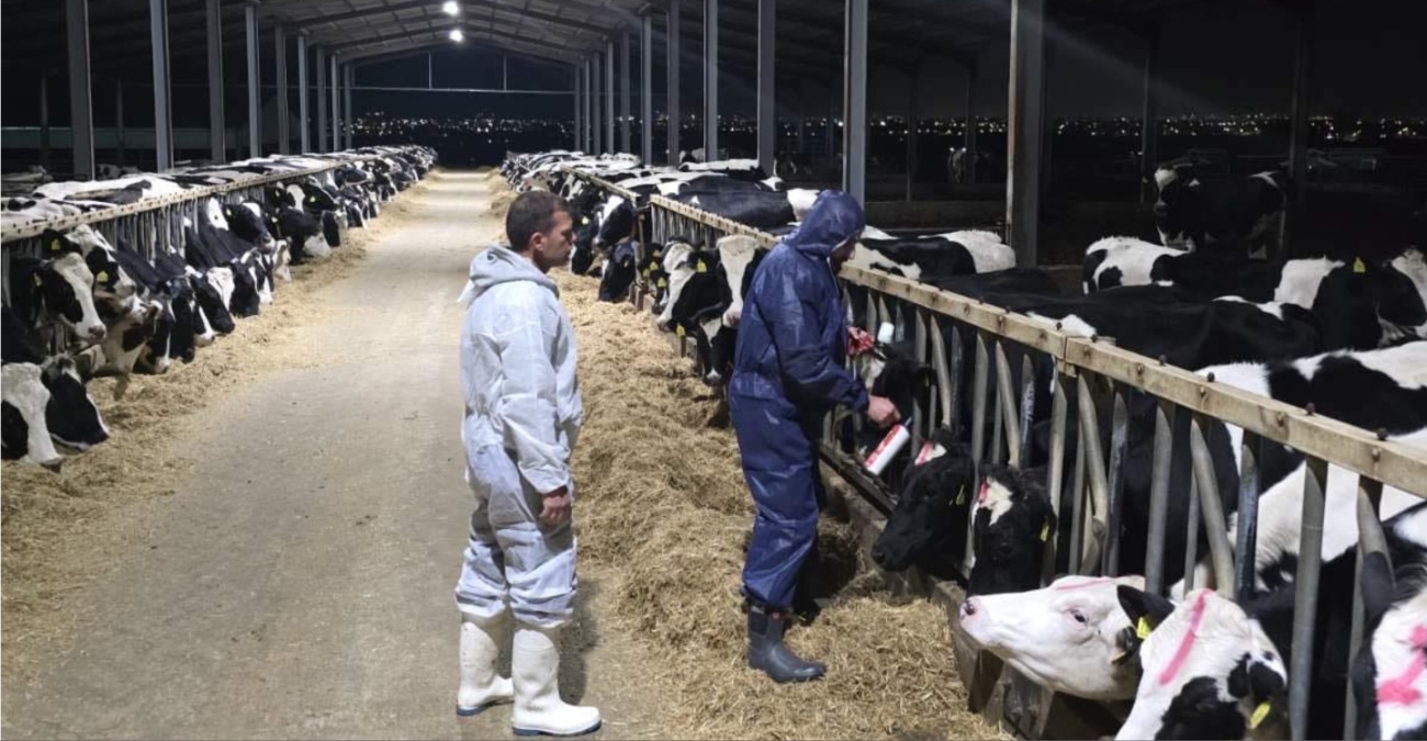 Αφθώδης Πυρετός: Έφτασαν στην Κύπρο 529.000 εμβόλια από την Κομισιόν – Δείτε φωτογραφίες