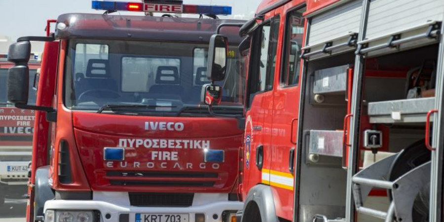 Πυρκαγιά στη Λευκωσία: Καίγονται δέντρα και ξηρά χόρτα - Σε κινητοποίηση η Πυροσβεστική 