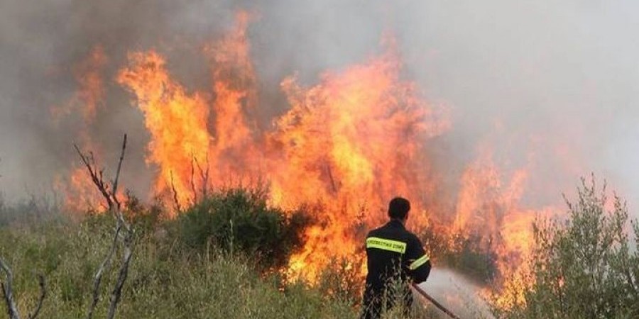 KYΠΡΟΣ: Πυρκαγιά στο Ζύγι – Επιχειρούν τρία οχήματα 
