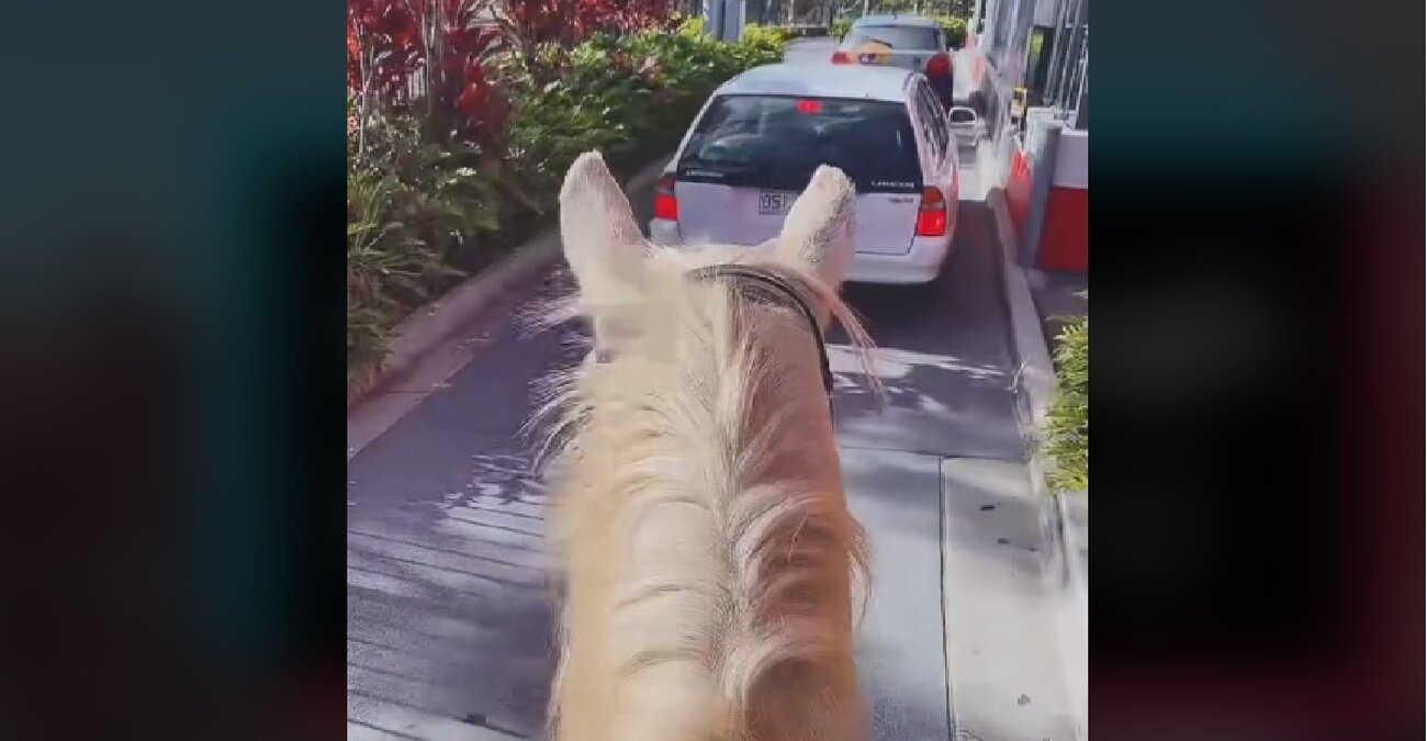 Αυστραλία: Γυναίκα πήγε στα McDonald’s με το... άλογο και σάρωσε το TikTok - Δείτε βίντεο