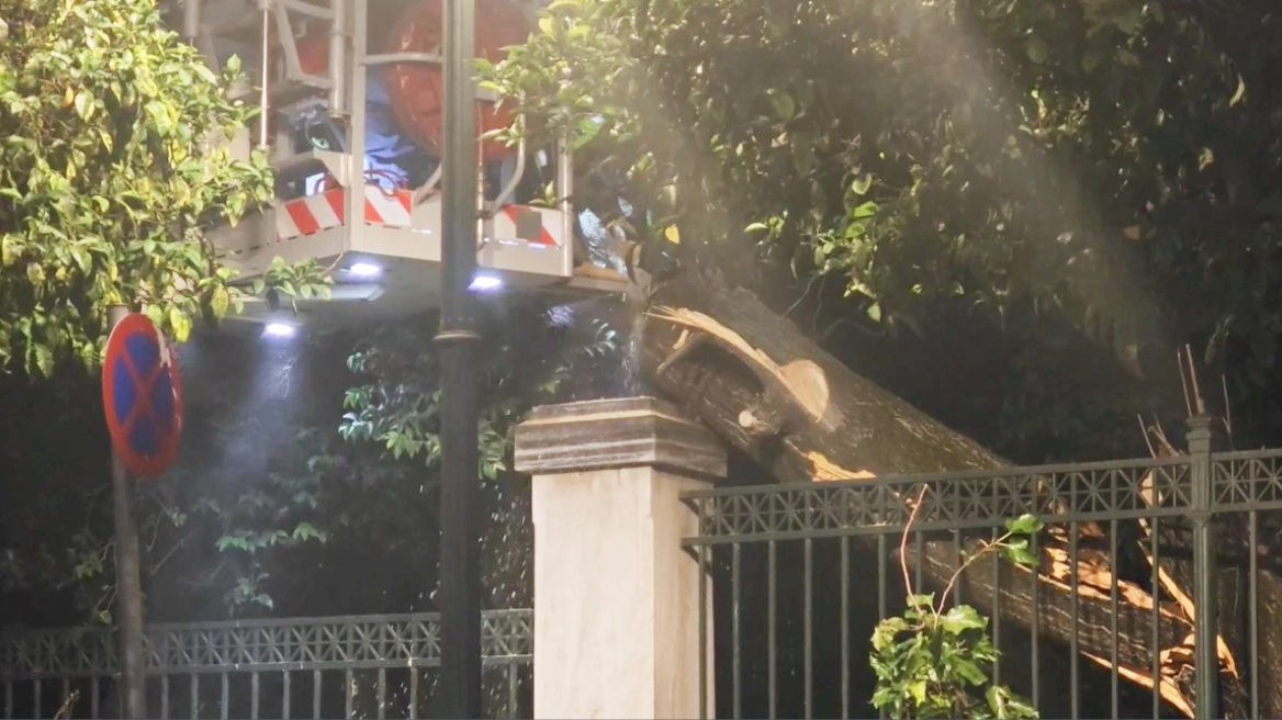 Έπεσε μεγάλο δέντρο τα ξημερώματα κοντά στο Μέγαρο Μαξίμου