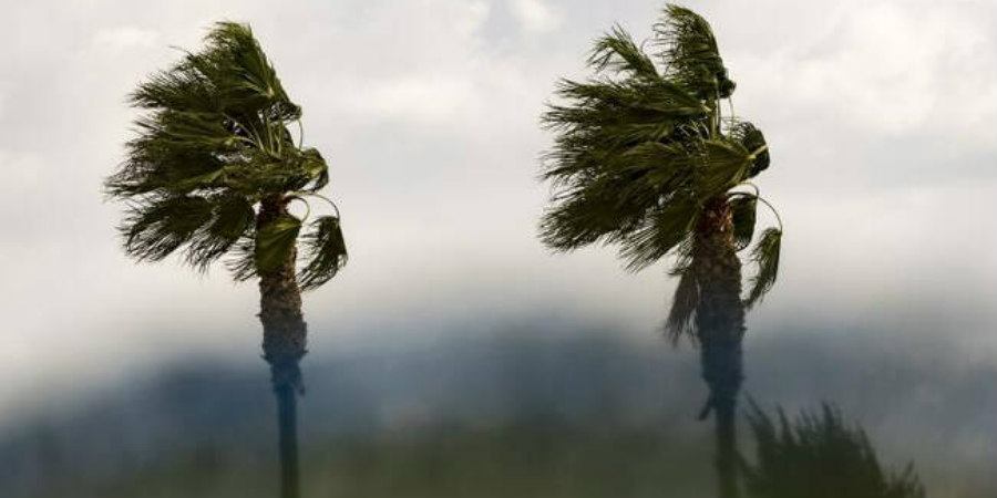 Επιμένουν οι άνεμοι: Πως διαμορφώνεται το σκηνικό του καιρού - Η ανακοίνωση της Μετεωρολογικής