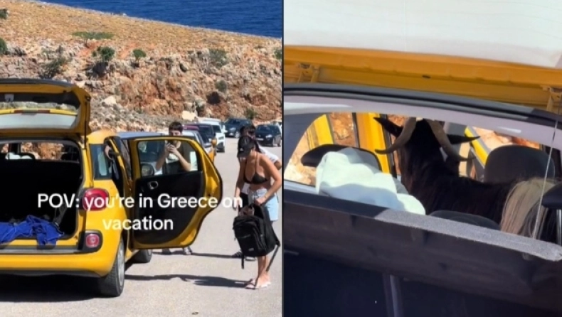 Αγενής τράγος εισέβαλε σε αυτοκίνητο ανυποψίαστων τουριστών στην Κρήτη: «Τους κατσικώθηκε!!» - Δείτε βίντεο