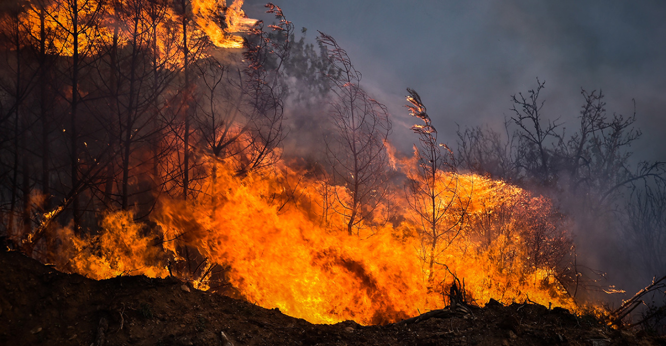 Εκτός ελέγχου η πυρκαγιά - Εκκένωση τώρα σε Νέα Αγχίαλο και άλλα 5 χωριά δίπλα στον Βόλο, θυελλώδεις άνεμοι 7 μποφόρ