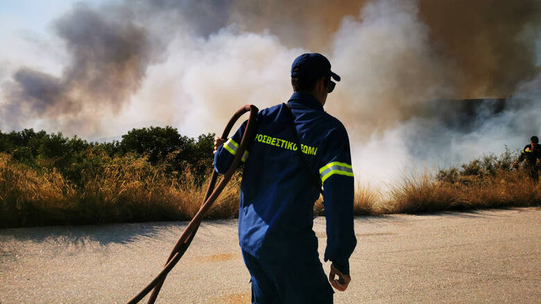 ΕΠ. ΛΕΜΕΣΟΥ: Εναέρια μέσα για κατάσβεση πυρκαγιάς τα ξημερώματα - Ξέσπασε σε δύσβατη περιοχή 