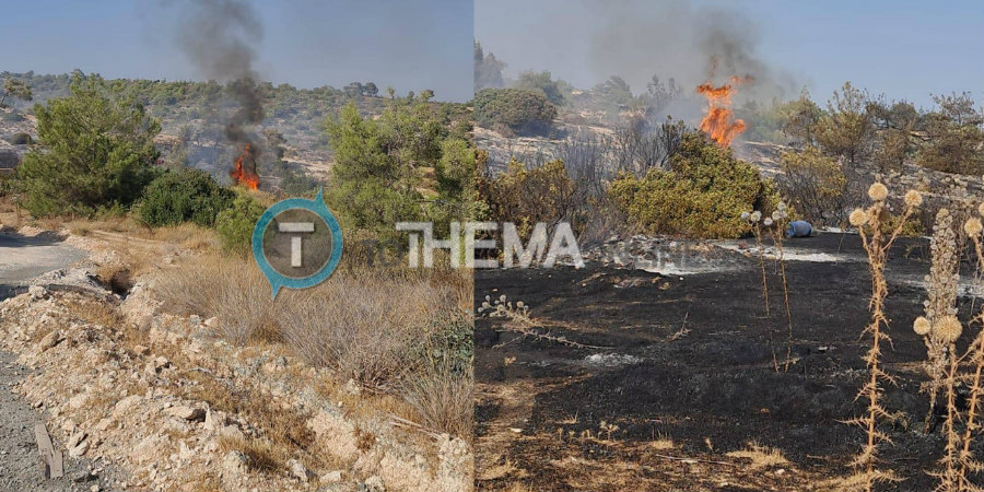 Σε κινητοποίηση η Πυροσβεστική - Ξέσπασε φωτιά στη Λεμεσό – Δείτε φωτογραφίες και βίντεο από το σημείο