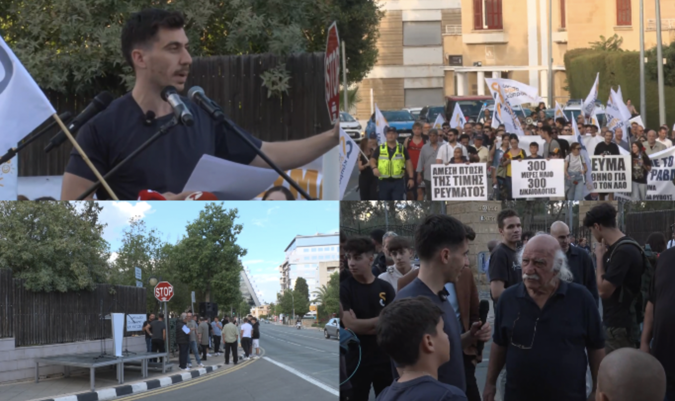 Ολοκληρώθηκε η διαμαρτυρία της Άμεσης Δημοκρατίας για το ακριβό ρεύμα - Παρέδωσαν υπόμνημα στον ΠτΔ - Τι λέει